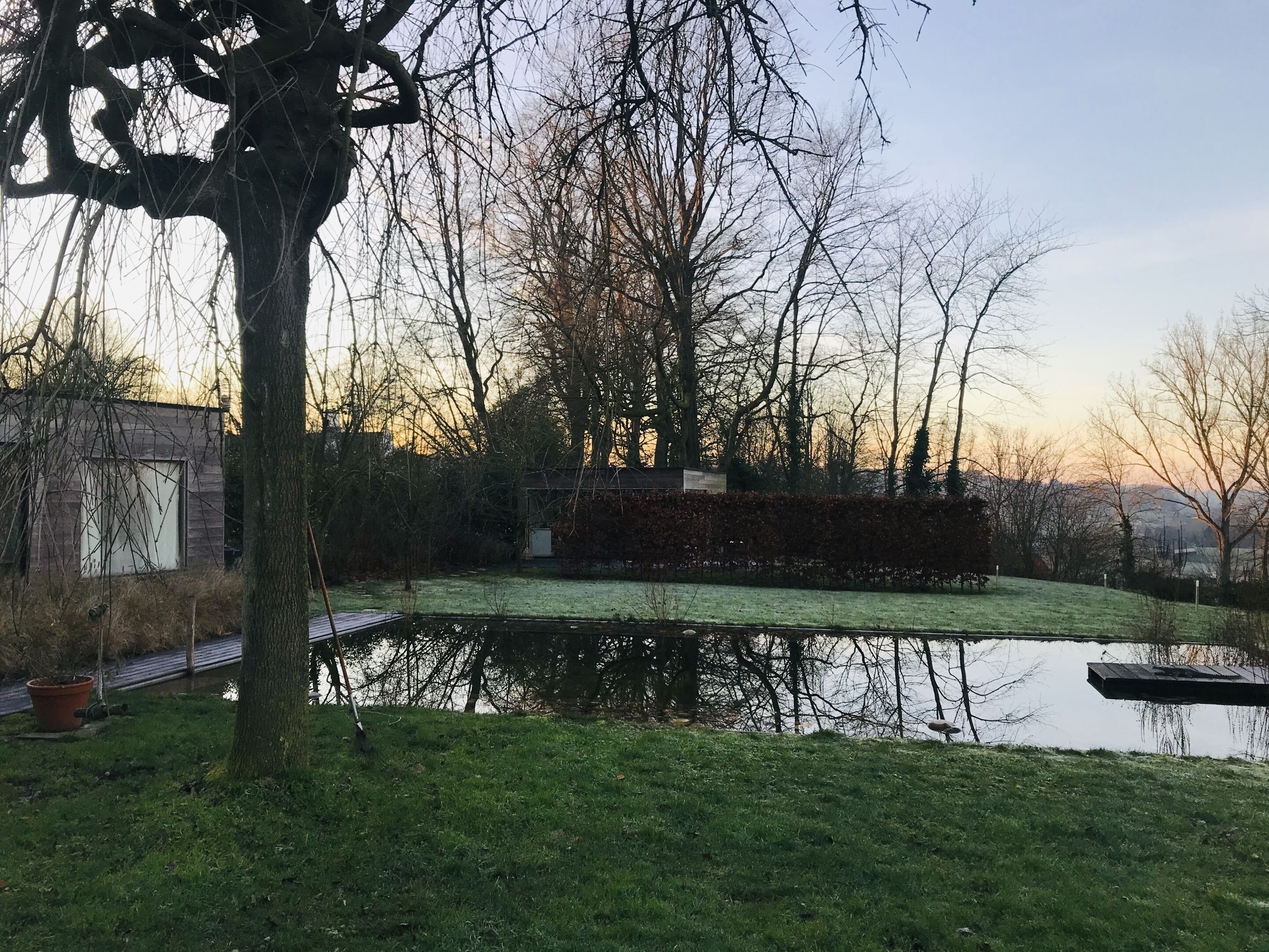 A serene outdoor setting with a pond, trees, and a building in the background.
