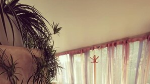 A modern living room with a wooden floor, a large potted plant, a dining area with a table and chairs, and a view through sheer curtains. - Panacée Guesthouses (Ronse)