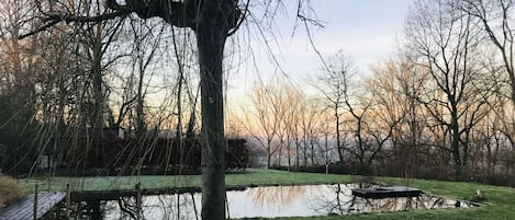 En fredfyldt park med en sø, en træbro og et stort træ.