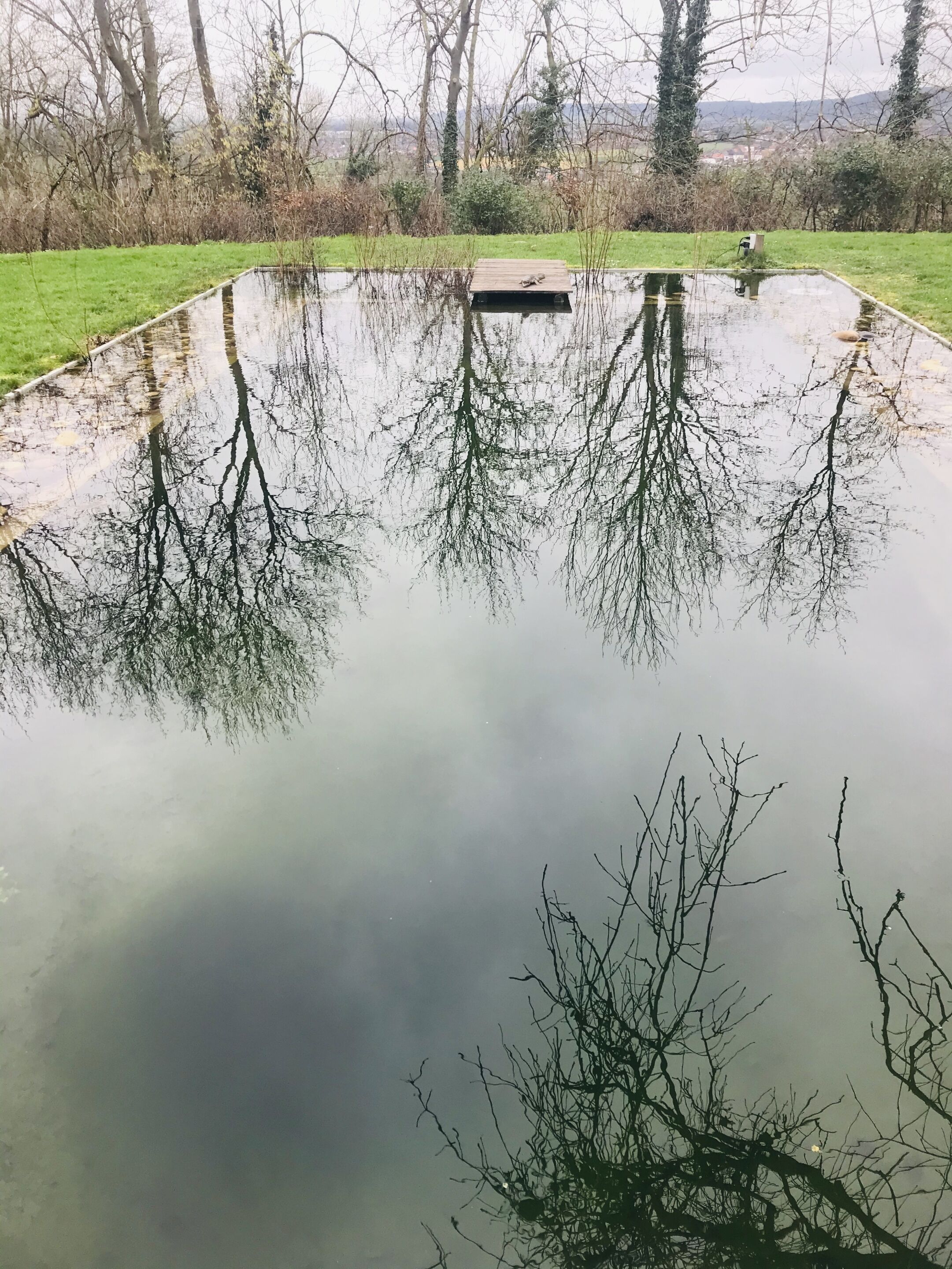 Un estanque grande y tranquilo con un muelle de madera en el centro, rodeado de árboles y zonas verdes.