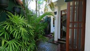 Un étroit sentier bordé de plantes en pot mène à une porte en bois.