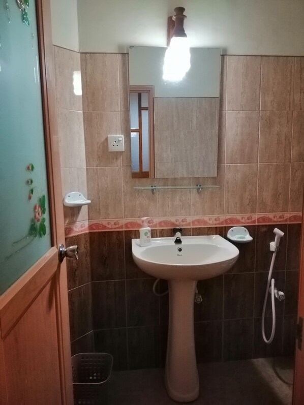 A bathroom with a pedestal sink, a mirror, a light fixture, and a shower area.