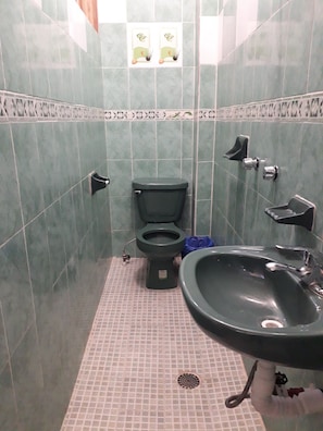 Habitación individual básica | Baño | Ducha y toallas