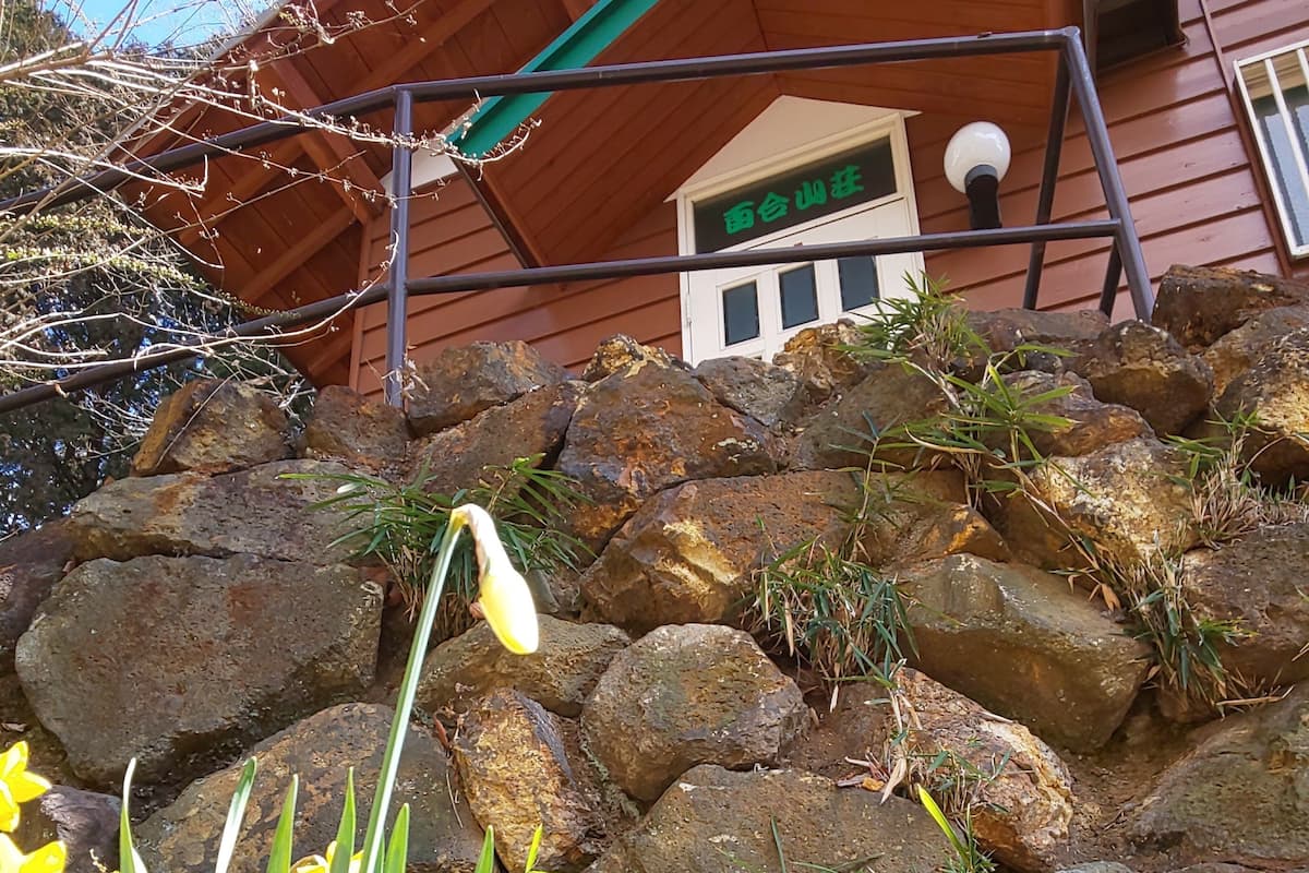 A stone wall with yellow daffodils in the foreground and a building with a green roof and a sign in the background.