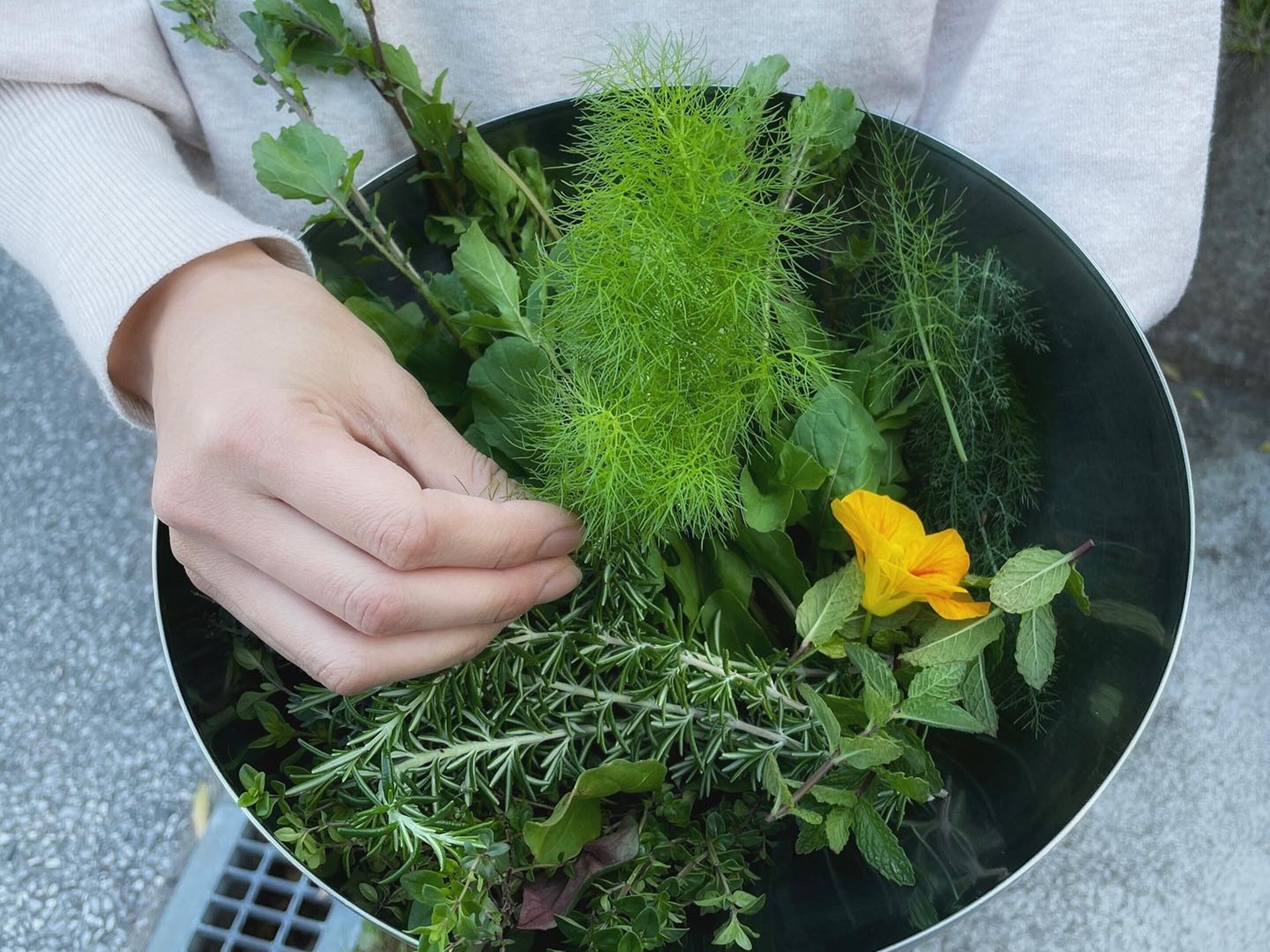 A person holding a bowl containing various herbs and a yellow flower.