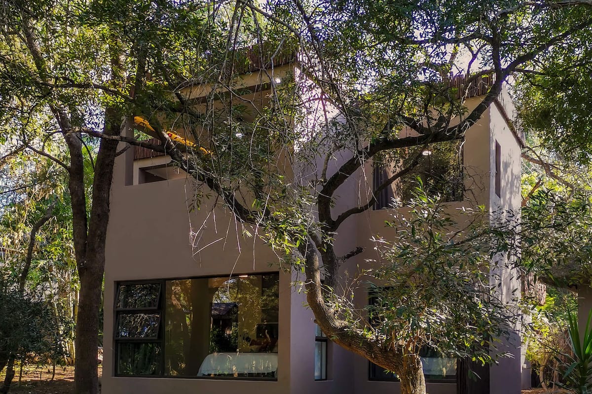 A modern house with large windows and a tree in front.