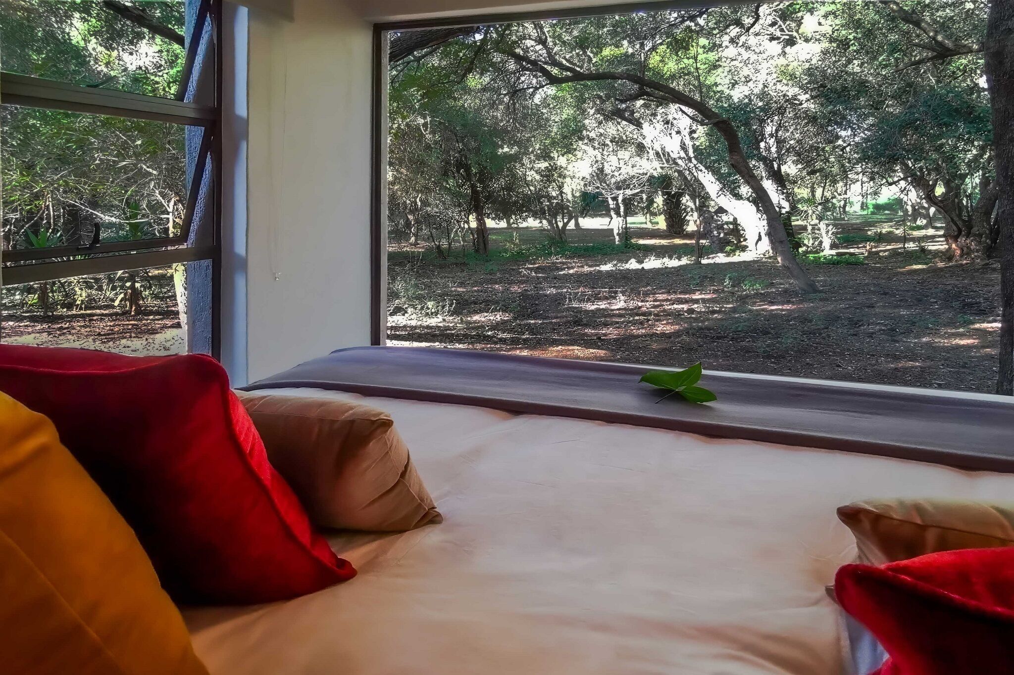 A bed with a view of a wooded area through a window.