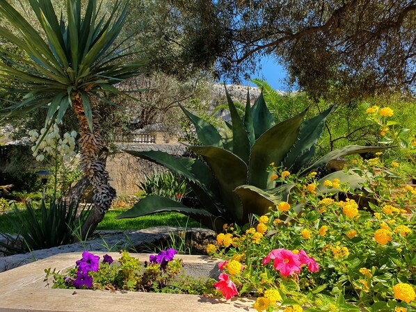 Exterior detail - VILLA PLEMMYRIA. Semi-detached villa immersed in the greenery of the Plemmirio Marine Protected Oasis (Plemmirio)
