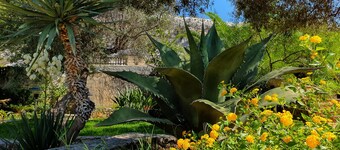 VILLA PLEMMYRIA. Villa adosada inmersa en la vegetación del oasis marino protegido de Plemmirio