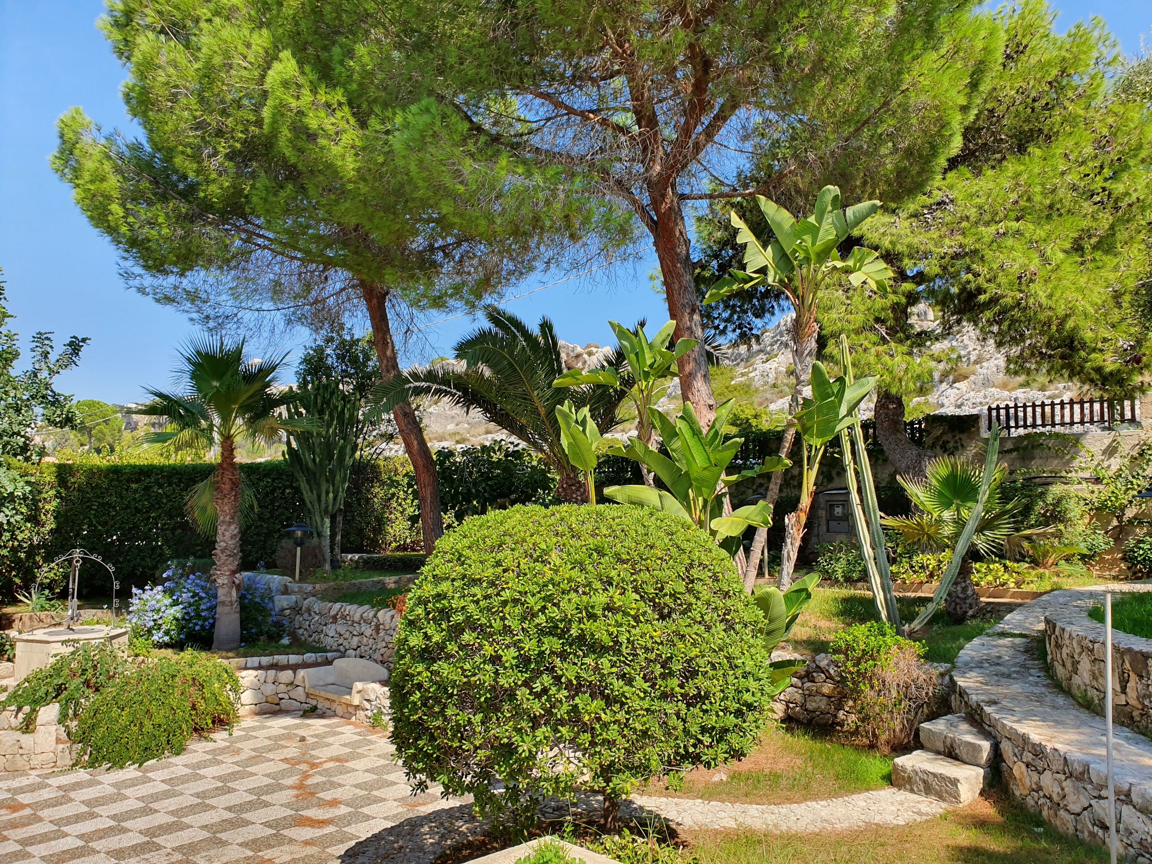 A garden with a stone pathway, various trees, and a well-maintained hedge.