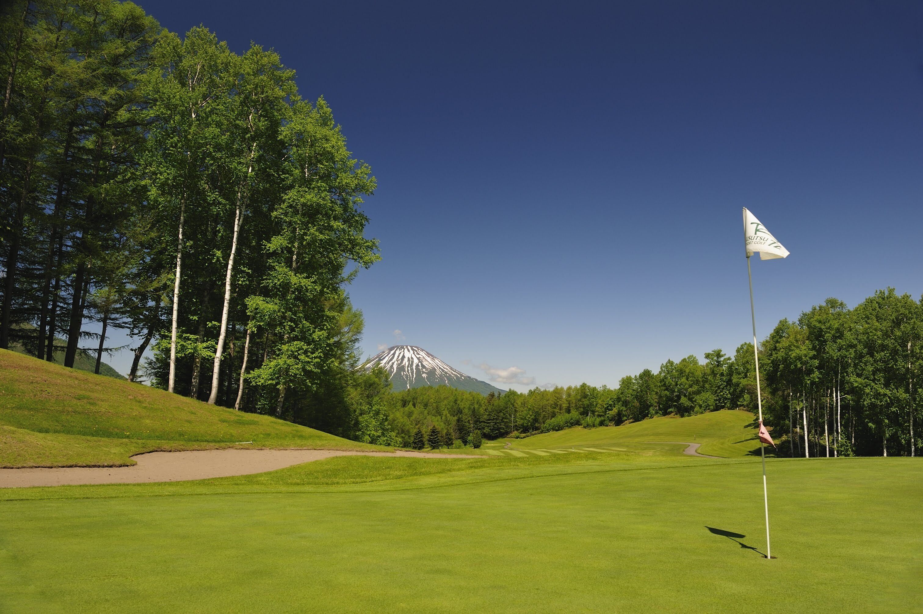 A golf course with a flag, trees, and a mountain in the background.