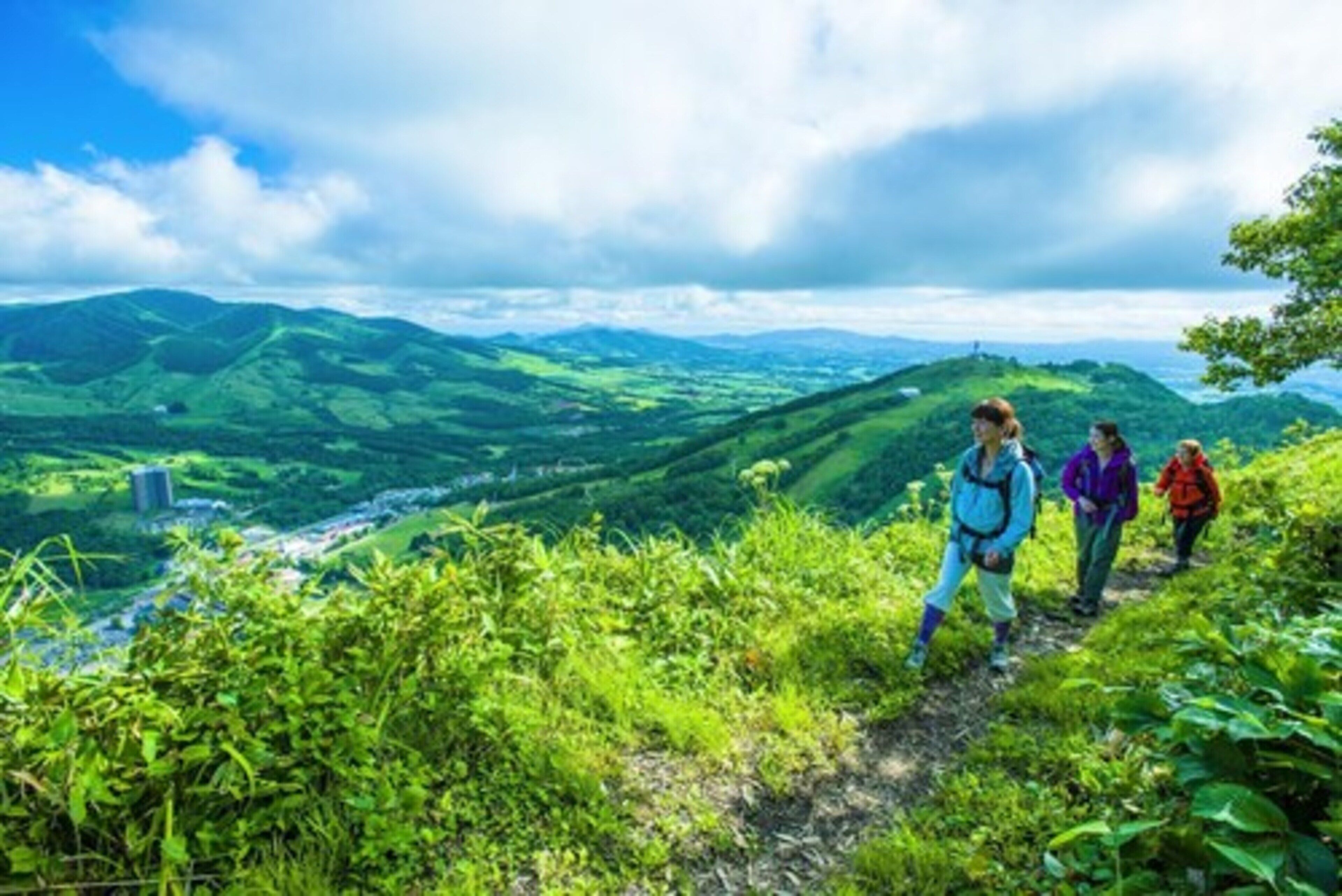 A hiking trail with lush greenery and distant hills.