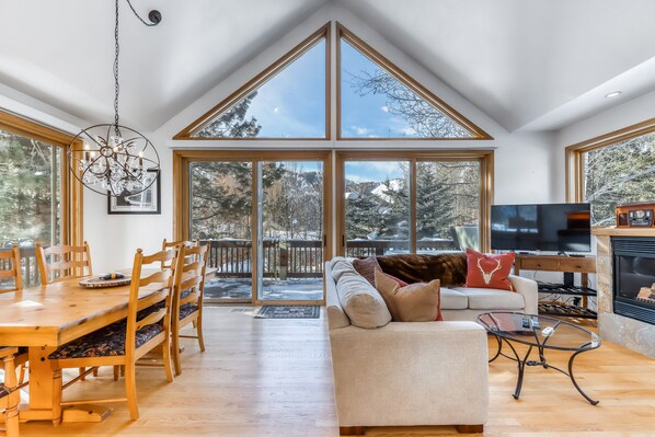 TV, fireplace, books