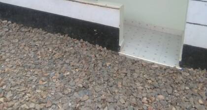 Dreamland Guest House