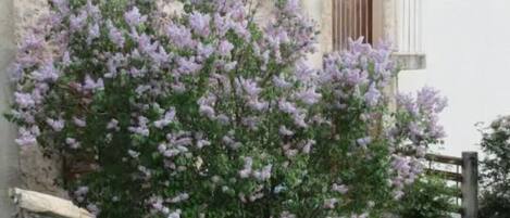 Details aan de buitenkant