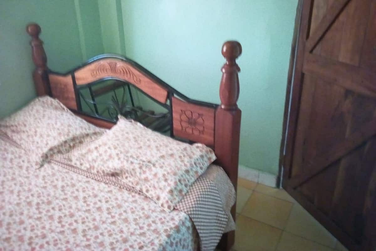 A bedroom with a wooden bed, a green wall, and a wooden door.
