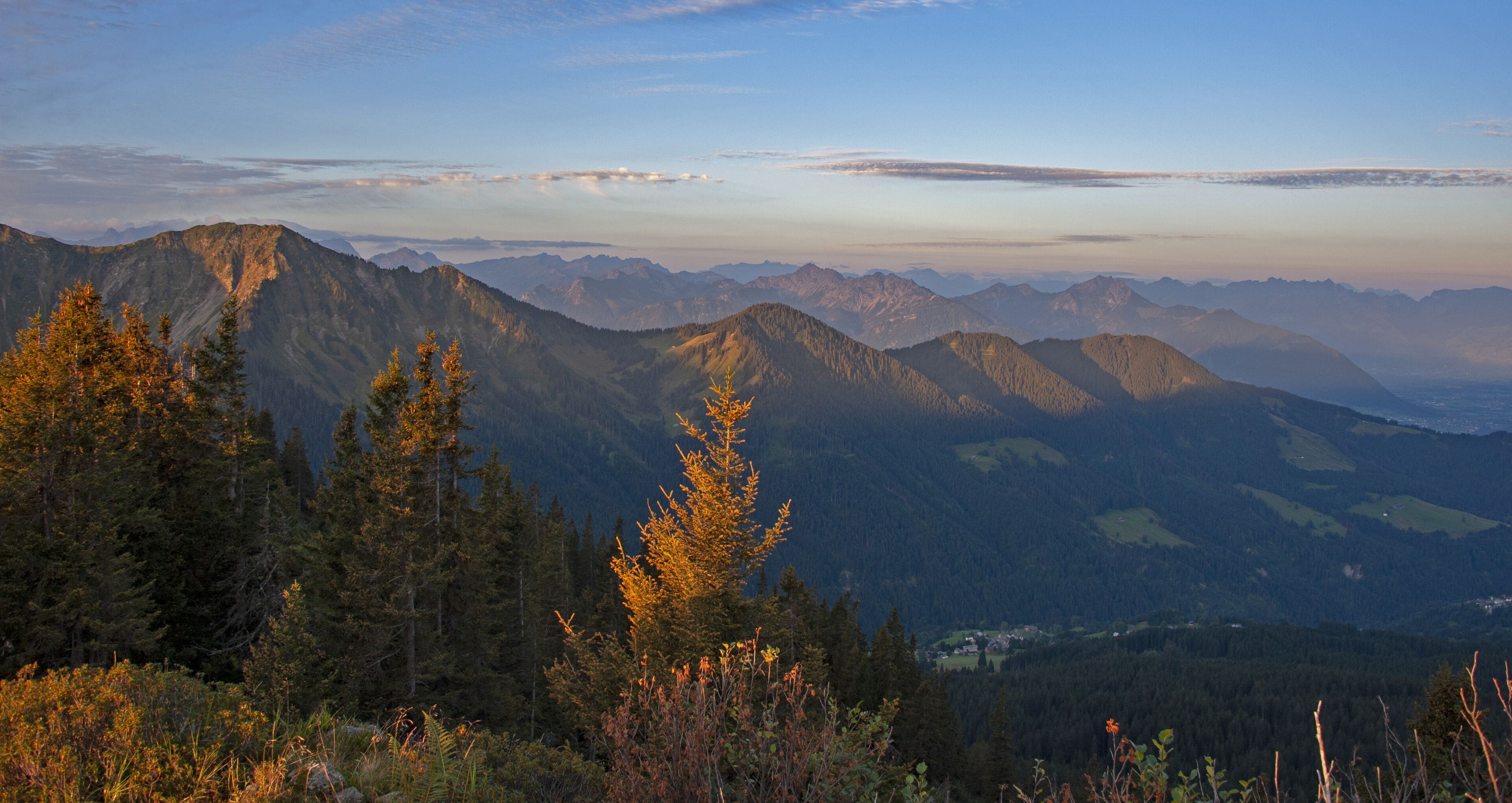 A mountainous landscape with dense forests and a valley below.