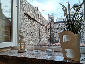 View from room - Apartments Babic (Rijeka)