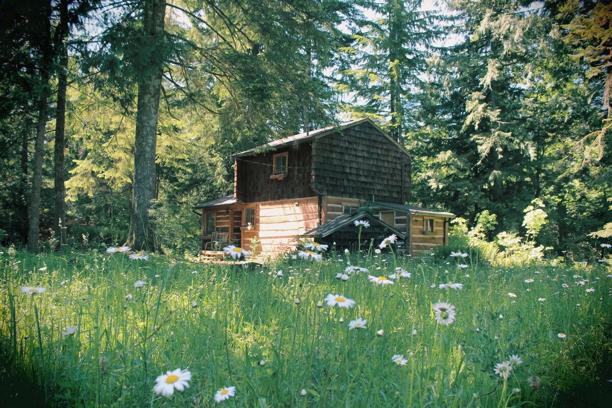 Imagen de perfil del propietario o de la propietaria