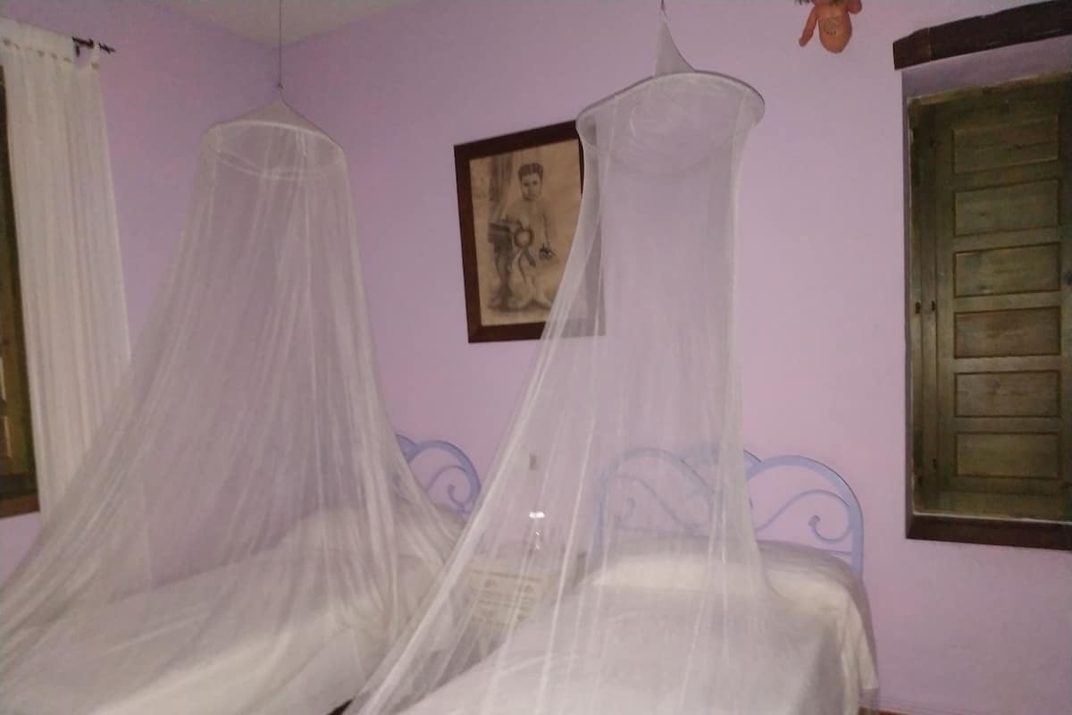 Two beds with mosquito nets, a framed picture on the wall, and a wooden door.