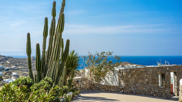Un muro de piedra con una ventana pequeña, un cactus y vista al mar.