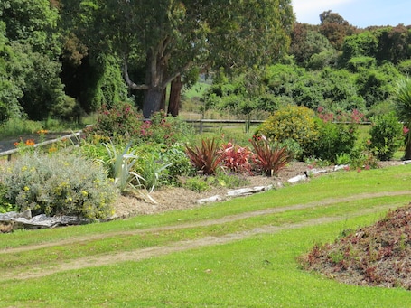 Family House | Garden view