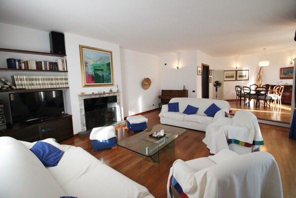 TV, fireplace, ping pong, books