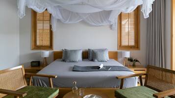 Laptop workspace, blackout drapes, soundproofing, iron/ironing board