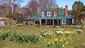 A house with a green roof, surrounded by a garden with daffodils and other plants.