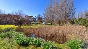 A serene park with a pond, trees, and a building in the background.