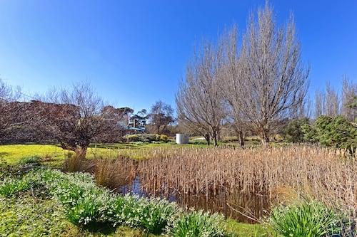 Private Vacation Home | Garden view