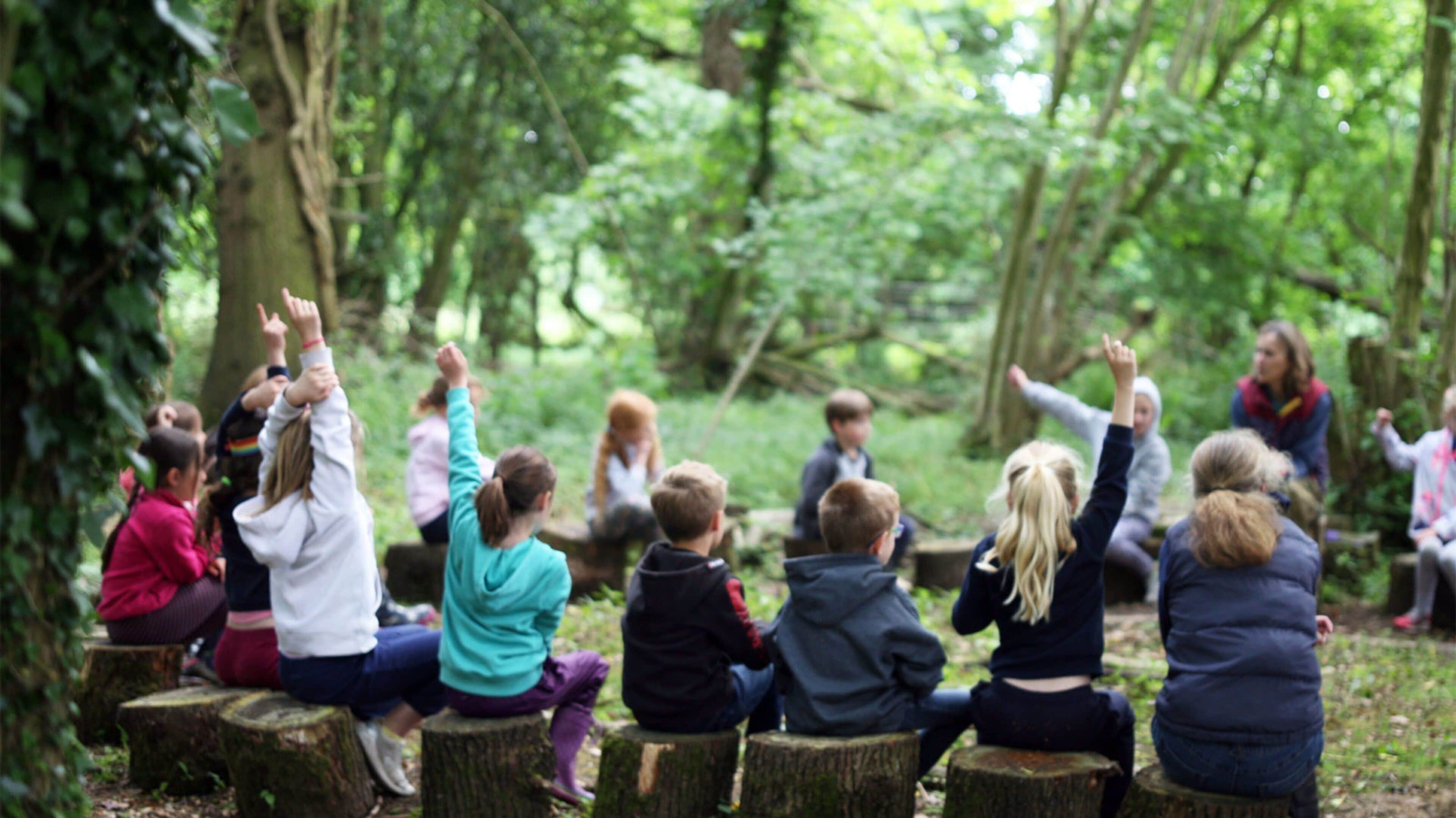 A group of people sitting on tree stumps in a forested area.