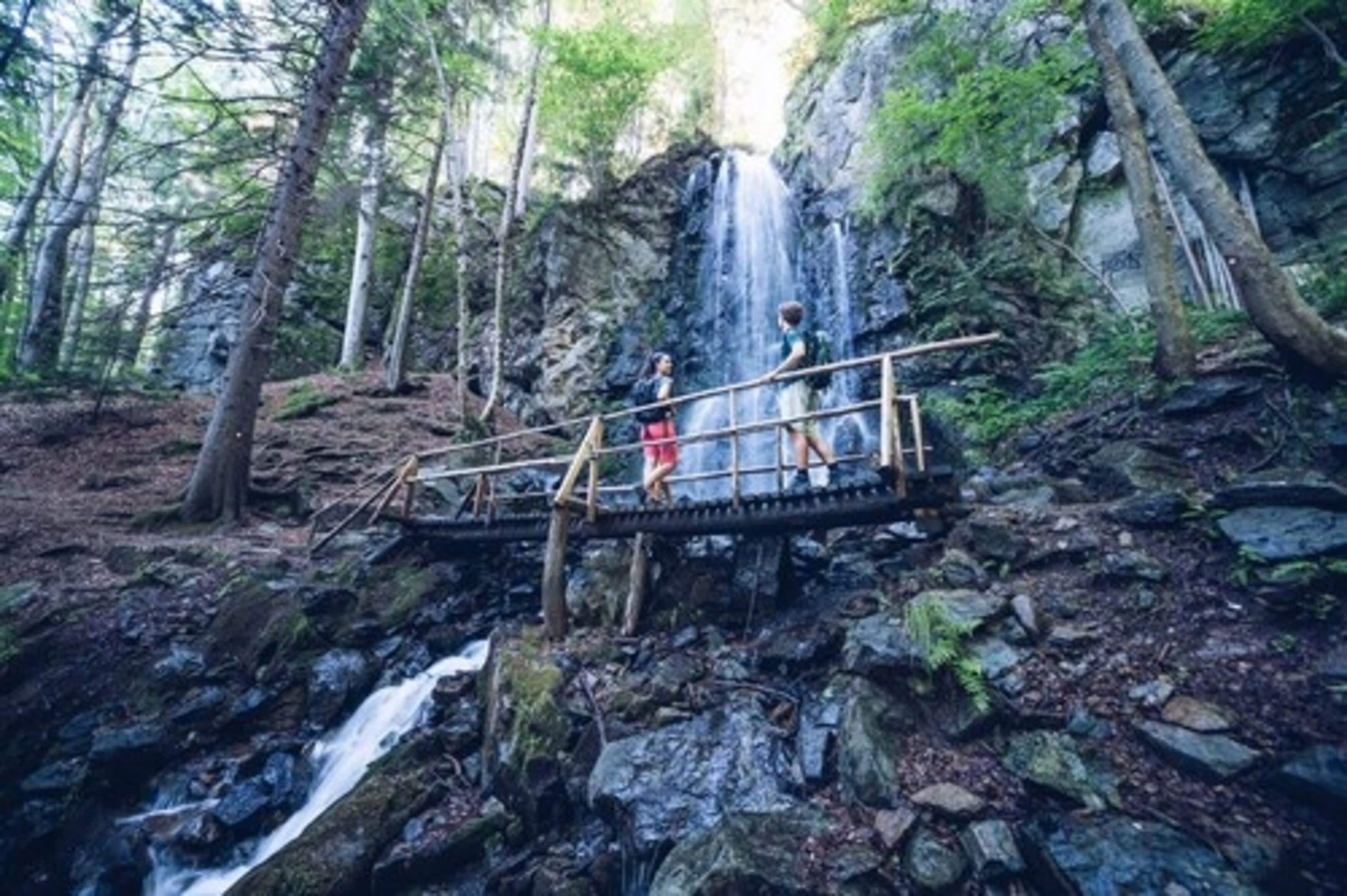 En träbro över ett vattenfall i ett skogsområde.