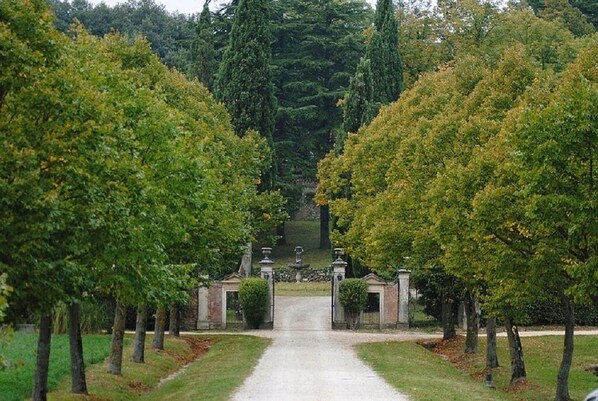 A pathway leading to a gated entrance surrounded by evenly spaced trees.