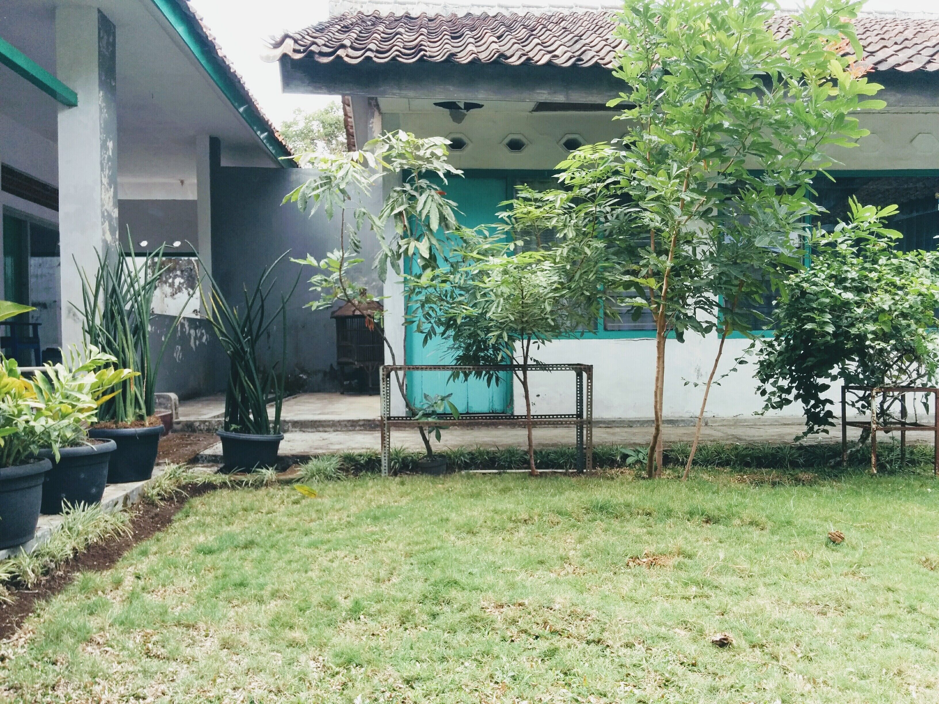 A courtyard with potted plants, a small tree, and a building with a tiled roof.