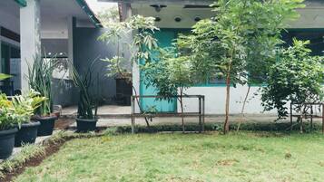 A courtyard with potted plants, a small tree, and a building with a tiled roof.