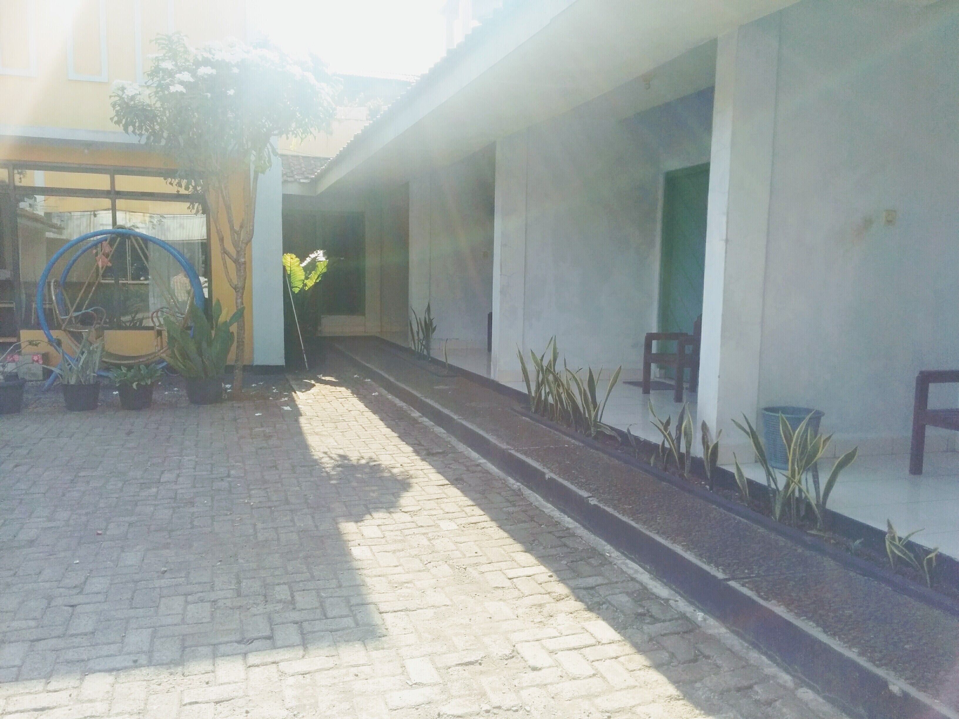A covered outdoor area with a paved walkway, potted plants, and a blue hose.