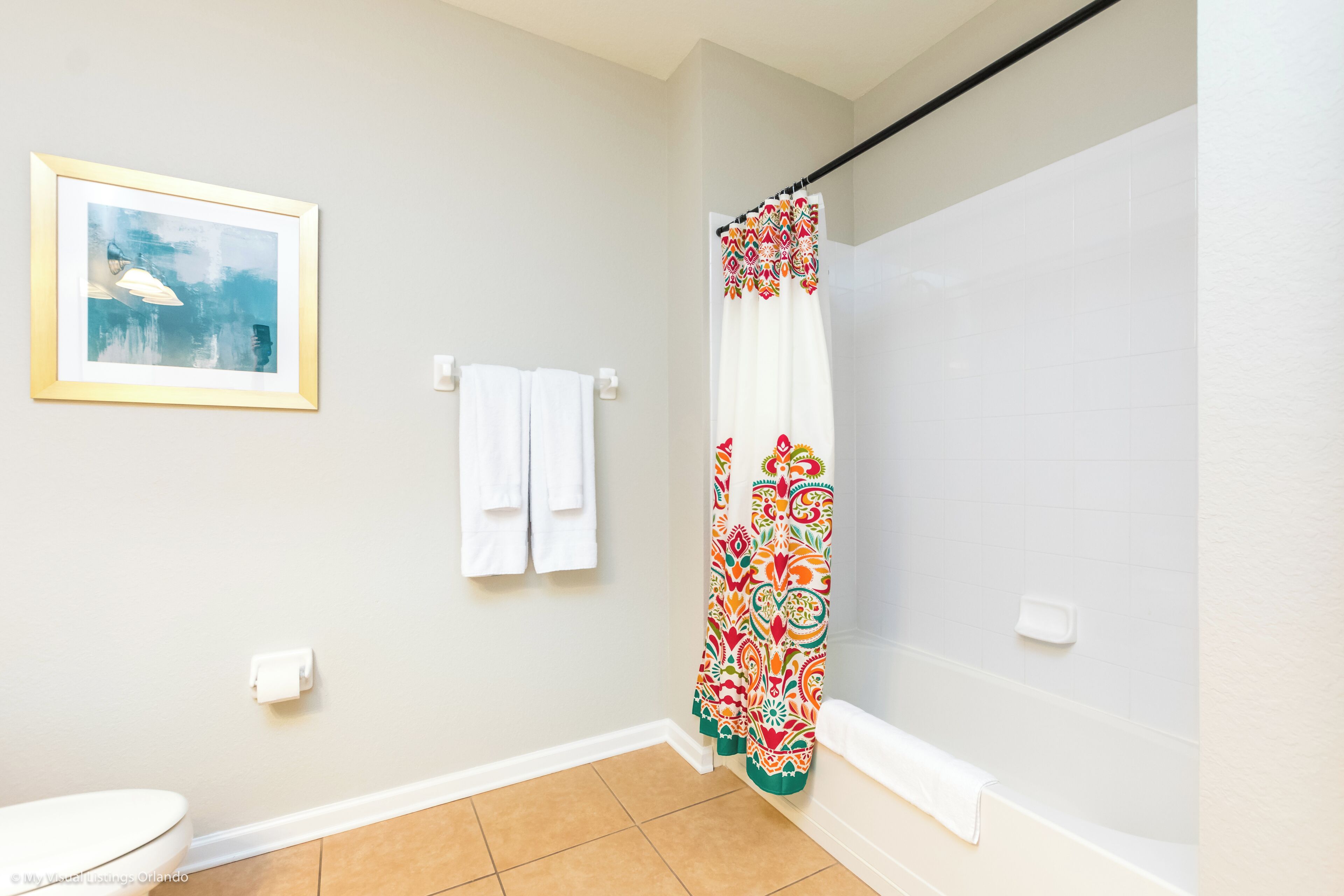 Une salle de bain avec un rideau de douche, un tableau encadré au mur et des toilettes.