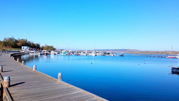 A marina with boats docked, a wooden pier, and a clear blue sky. - Vacation home (110sqm) for rent at the Geiseltalsee (Krumpa)
