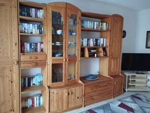 A wooden-built room with built-in bookshelves, a television, and a patterned rug. - Vacation home (110sqm) for rent at the Geiseltalsee (Krumpa)