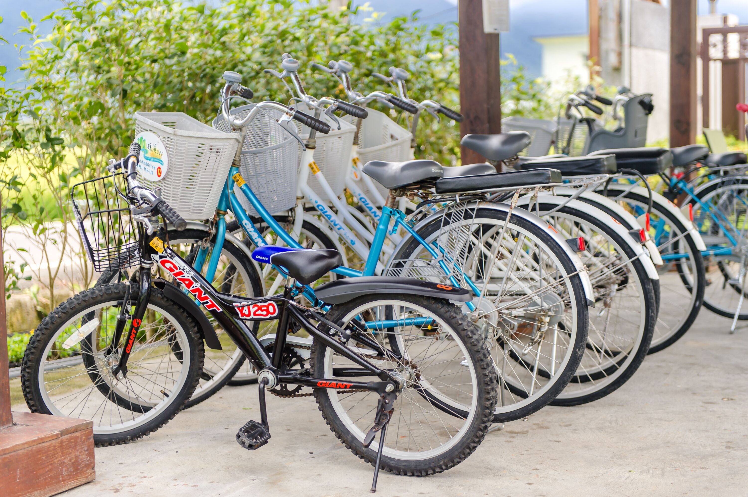 A row of bicycles parked outdoors, some with baskets and others with saddles.