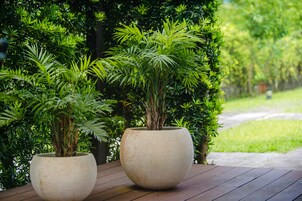 Garden View Quadruple Room | Terrace/patio