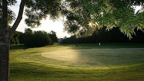 A golf course with a well-manicured fairway, a putting green, and a flagstick. - Land  & Golf Hotel Stromberg (Stromberg)