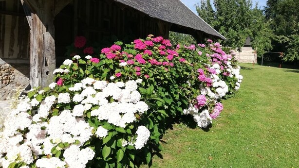 A rustic wooden building with a thatched roof, surrounded by lush greenery and vibrant flowers. - Le Cottage de Cour la Ville (Le Mesnil-sur-Blangy)