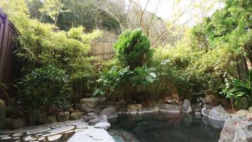 Aguas termales