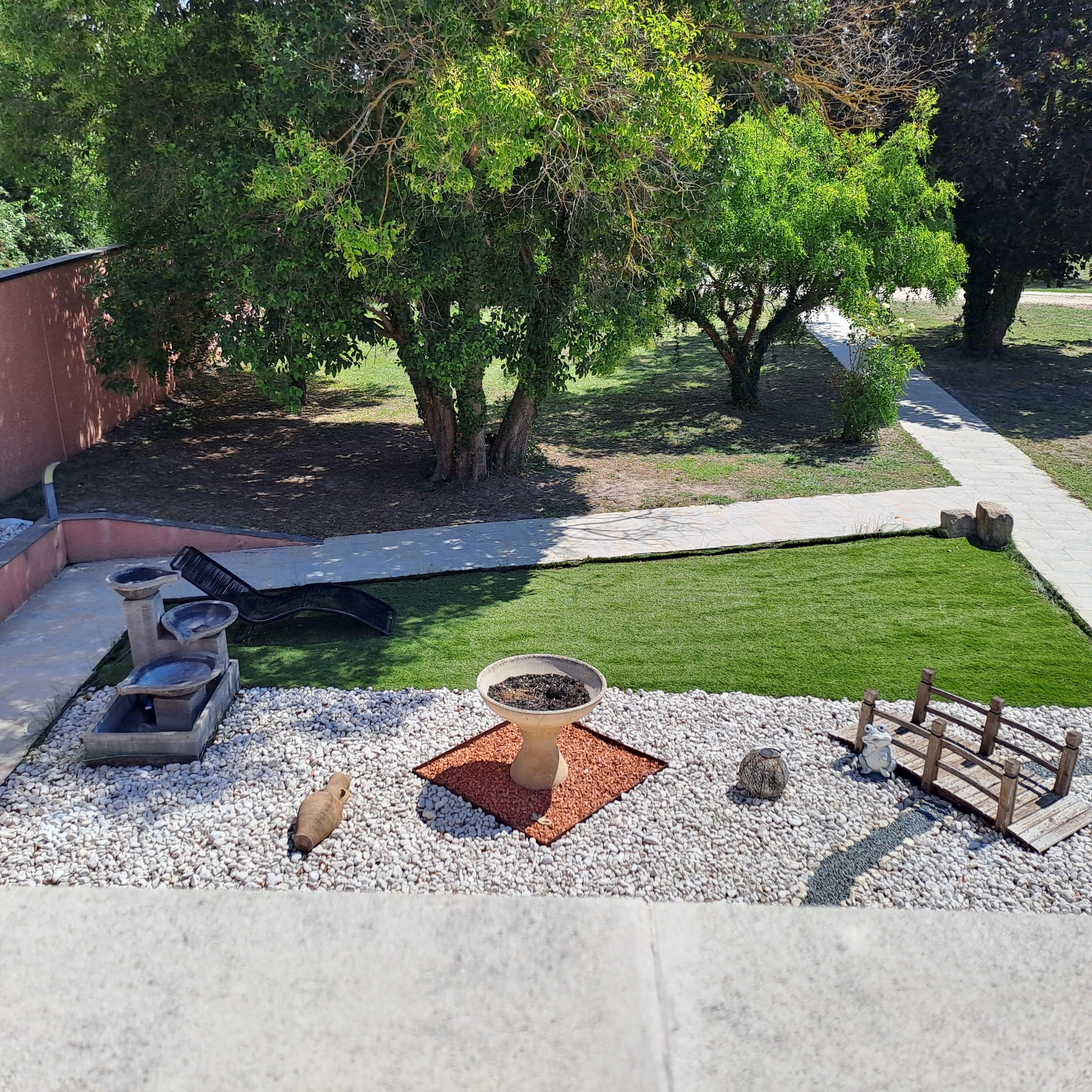 A landscaped outdoor area with a pathway, a small water feature, and a decorative frog statue.