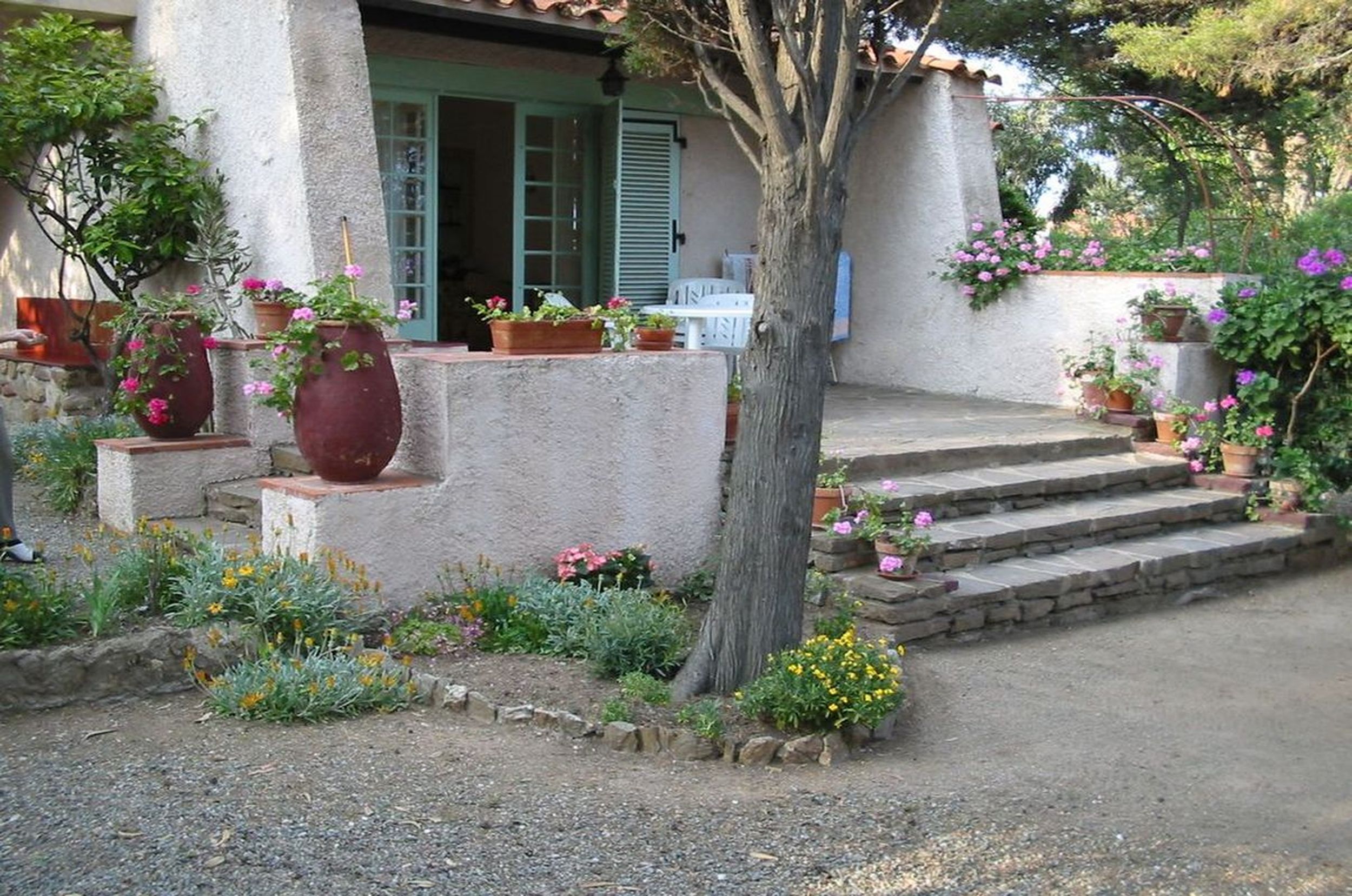 A rustic building with a stone facade, a tree in the center, and steps leading up to a door.