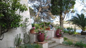 Un jardín con plantas en macetas y una pequeña escalera que lleva a una terraza.