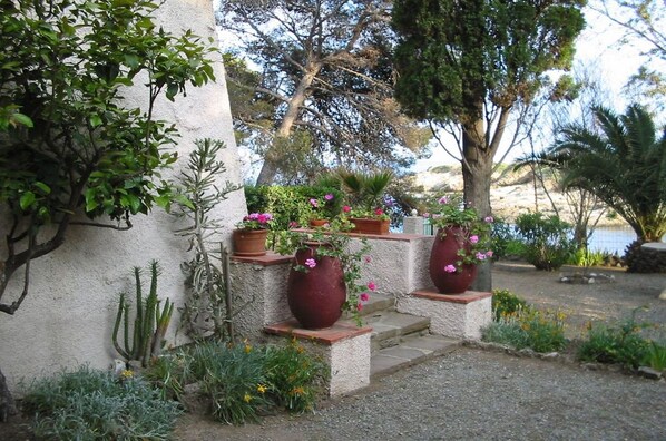 Un jardín con plantas en macetas y una pequeña escalera que lleva a una terraza.