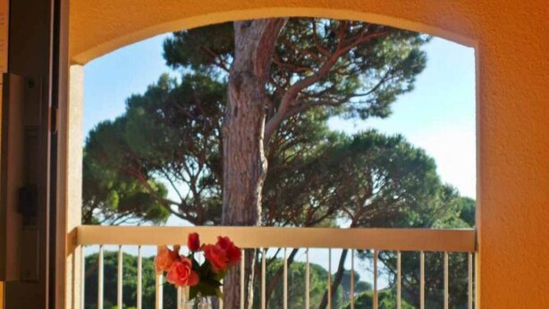 Een balkon met een glazen vaas met rode bloemen, een leuning en uitzicht op een grote boom en groen.